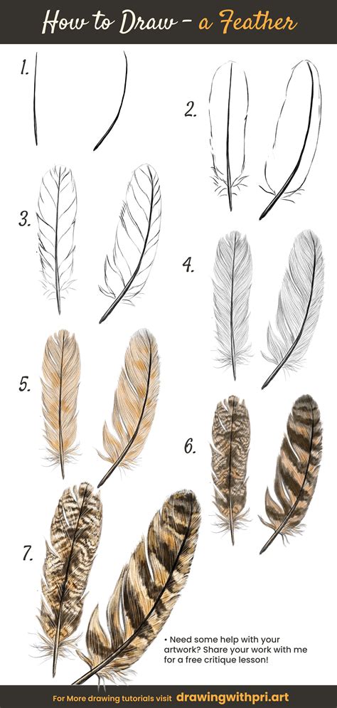 feathers to draw|easy feather pen drawing.